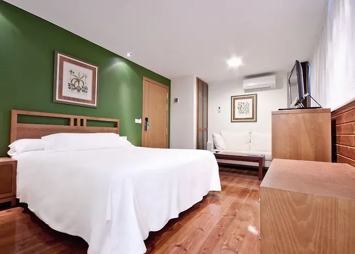 Hotel Auditorio Santiago &